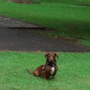 Meet your Posher, Donna